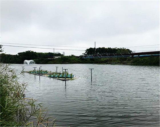 未標題-黑偉黑偉沉水式風機使用方便噪音?。? />
</p>
        </div>
        <!--分頁-->
        <div   class=